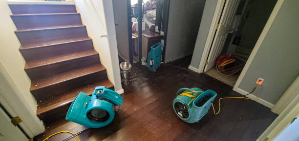 Best Flood restoration services  in Leipsic, OH