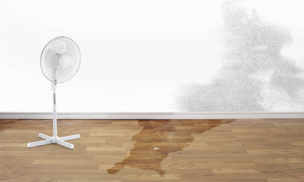 Water damage restoration mold remediation in Leipsic, OH
