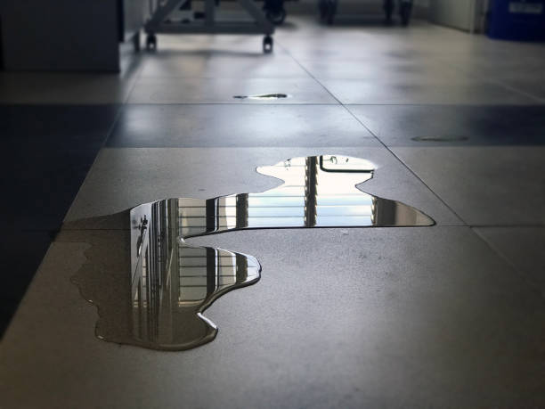 Best Water damage restoration near me  in Leipsic, OH