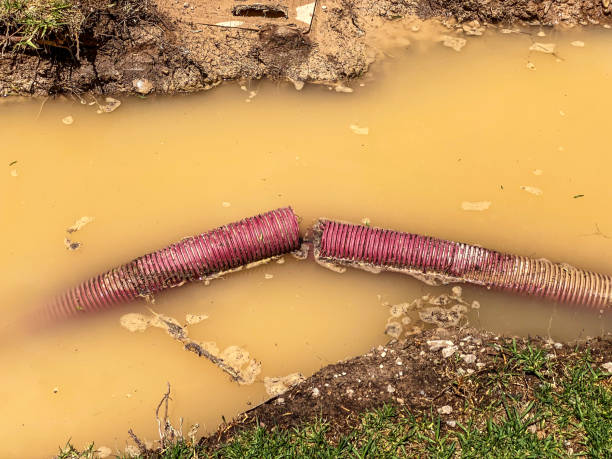 Best Flood restoration services  in Leipsic, OH